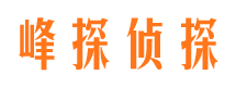 宝山区市婚外情调查